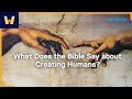 What Does the Bible Say about Creating Humans? | Creation Stories of the Ancient World