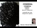 Семена, семена, семена. Фасоль спаржевая на посадку.