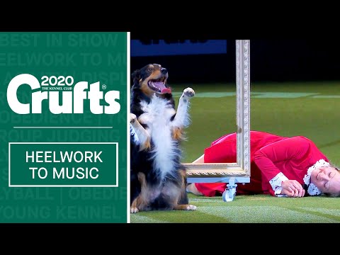 crufts dancing dogs 2019