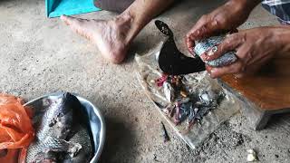 How to clean fish - Palu - Village Style | मासे कसे साफ करायचे