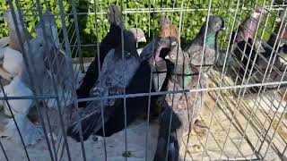 :   . Weilburg 26.05.2024