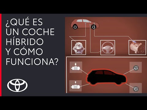 Video: ¿Qué es un ejemplo de híbrido?