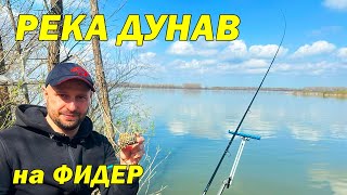 ПРОЛЕТЕН РИБОЛОВ на РЕКА ДУНАВ с ФИДЕР - River Danube