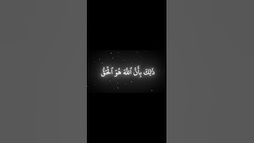 سورة الحج الاية 61 | القارئ محمد اللحيدان🖤🤍
