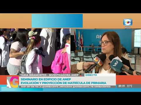 On-site report: Seminar on primary school enrollment trends and projections