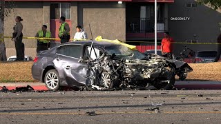 2 People And 2 Dogs Killed In High-Speed Head-On Crash