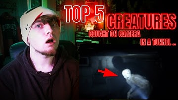 5 Mysterious Creatures Caught On Camera in a Tunnel | NUKES TOP 5 REACTION