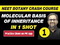 MOLECULAR BASIS OF INHERITANCE in One Shot Part 1 - All Theory, Tricks & PYQs | Class 12 | NEET