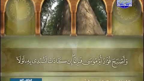 عبد الرشيد صوفى - الجزء العشرون ( 20 ) قراءة برواية شعبة عن عاصم