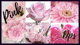 Beautiful Pink Wallpaper Pics //Pink Images For Whatsapp Profile// Pink DPs screenshot 5
