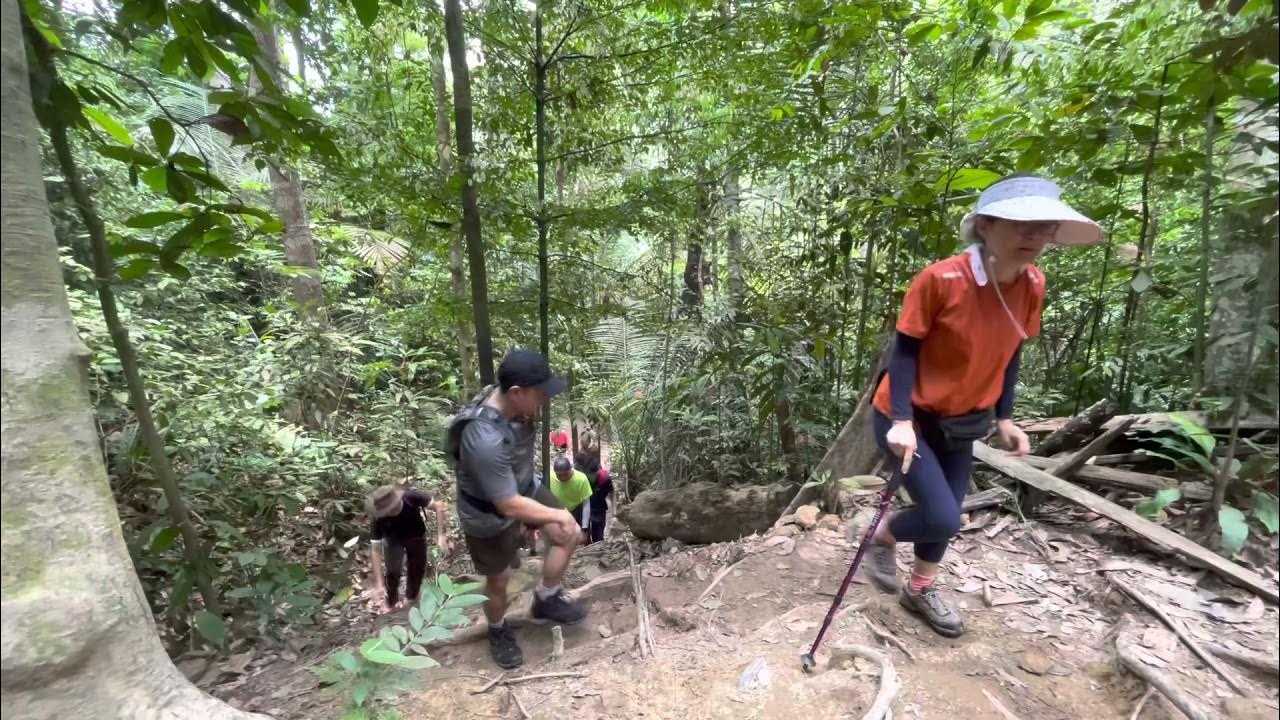 A good hike at Shah Alam community forest - Nusa Rhu Trail - YouTube