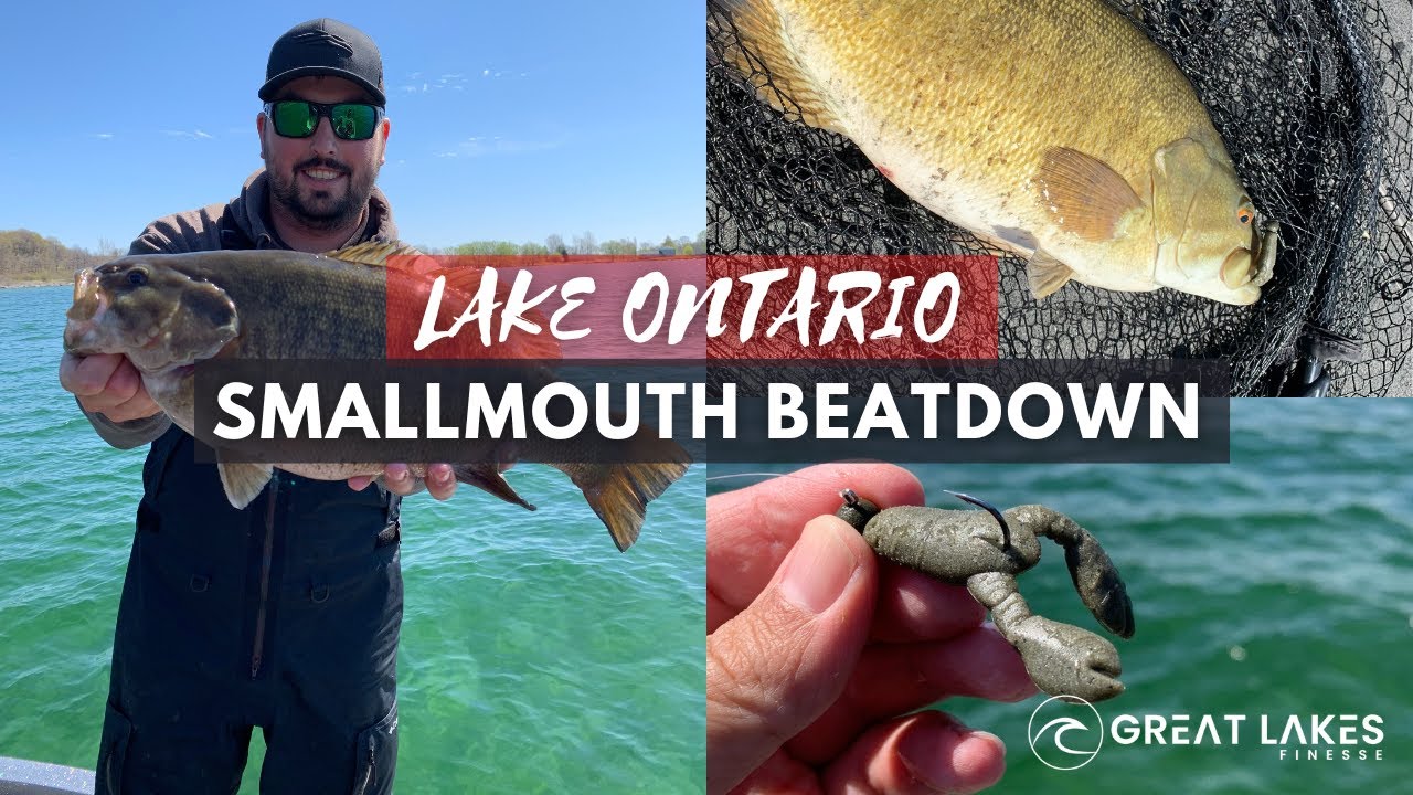 Lake Ontario Smallmouth Beatdown with the 2.1 Snack Craw 