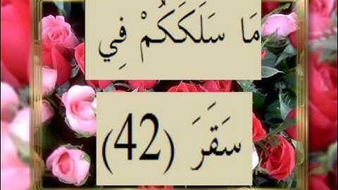 القران الكريم سورة المدثر الاية 42