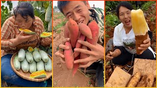 Makan Buah Segar Dari Pohonnya 6  Panen Buah Segar  Mukbang Buah Buahan  Top Garden Fruit