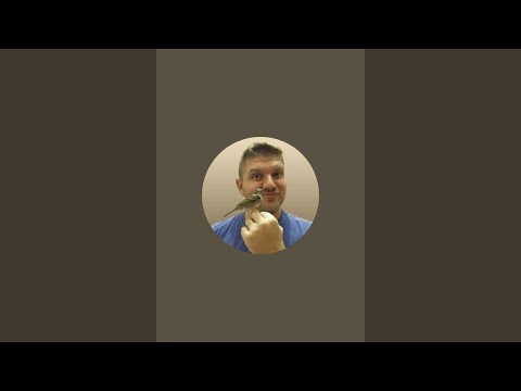 Resposta aos inscritos