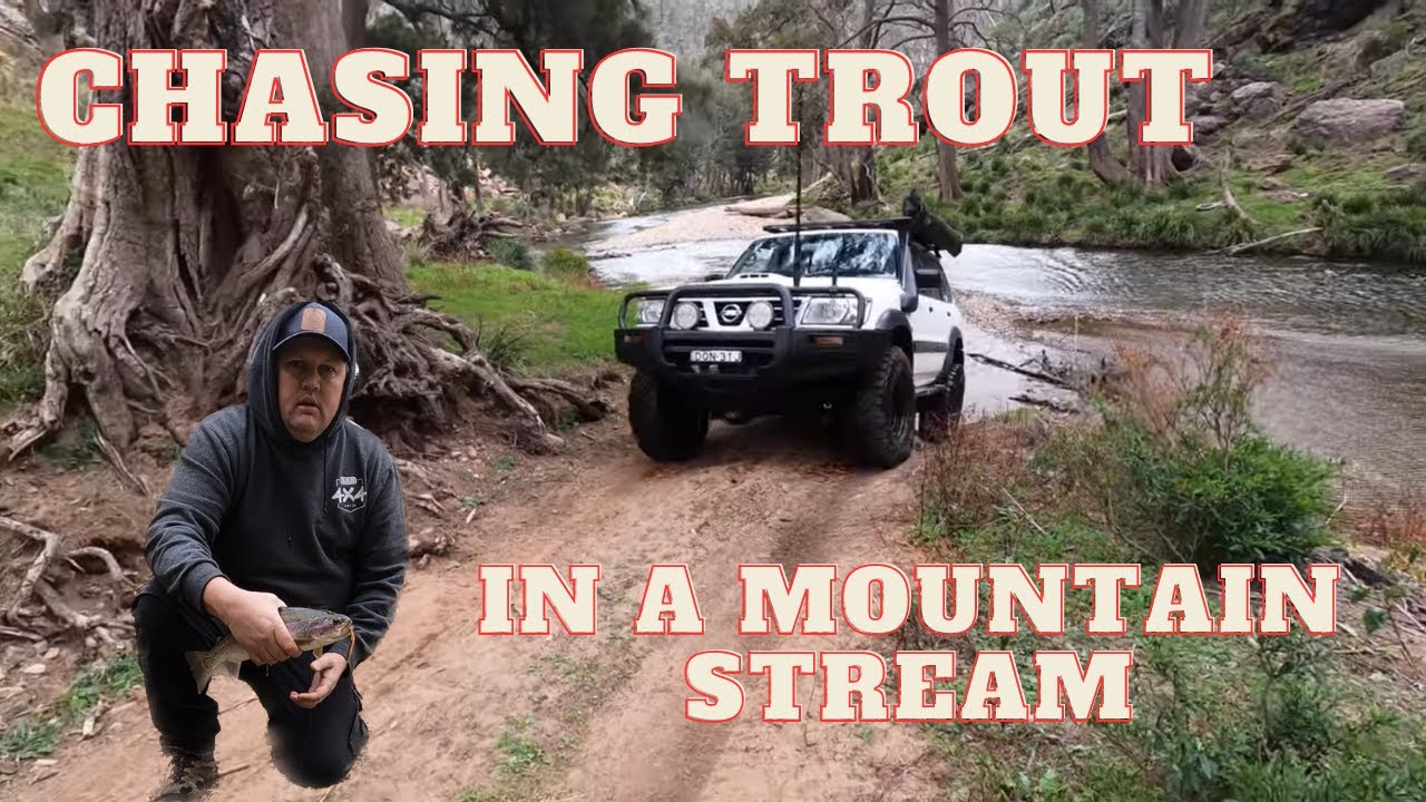 OFF ROAD CAMPING FISHING TROUT FISHING BLUE MOUNTAINS YouTube