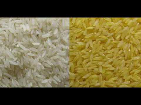 Video: ¿El arroz está modificado genéticamente?