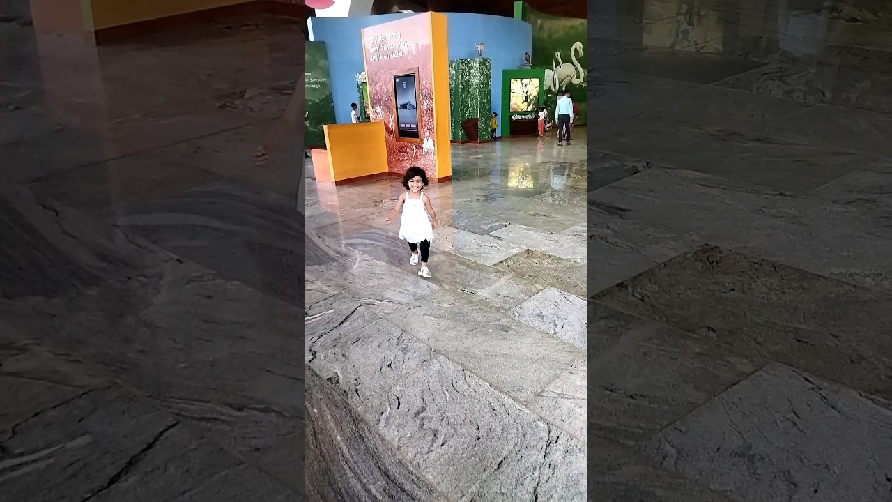 Tom and Jerry😼🐭 (arika cute baby) real end twist