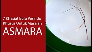7 Khasiat Bulu Perindu Khusus Untuk Permasalahan Asmara