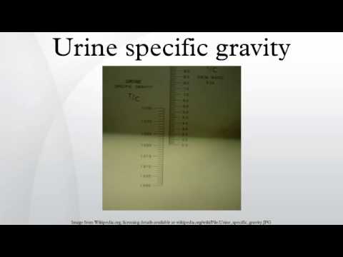 Gravity of urine specific What is