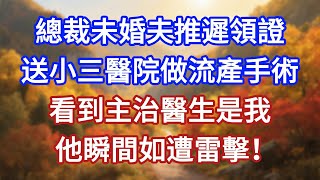 總裁未婚夫推遲領證,送小三醫院做流產手術,看到主治醫生是我,他瞬間如遭雷擊!
