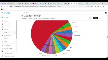 Code Review Contradictory My Dear Watson  Kaggle  competition using BERT