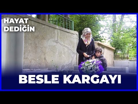 Hayat Dediğin - Besle Kargayı