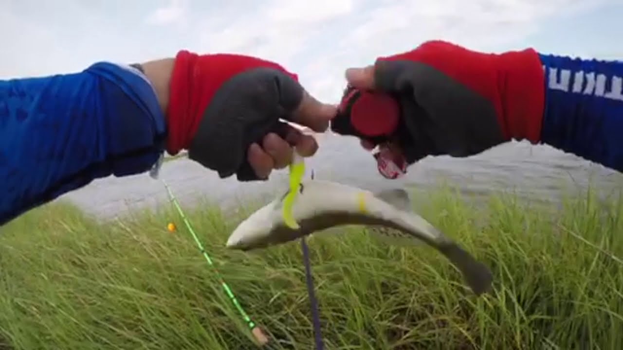 The best of snag fishing YouTube