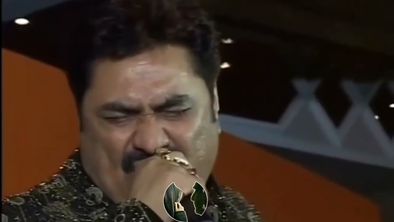 Kumar Sanu Alaap Tum Dil Ki Dhadkan Mein Rehte Ho