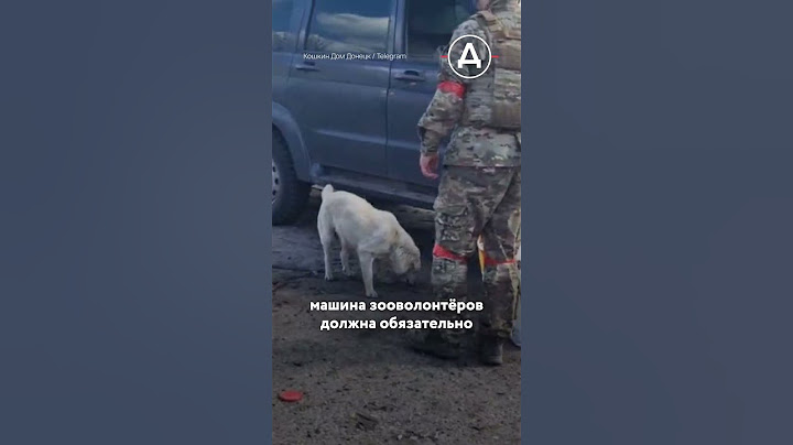 Волонтеры показали честный репортаж из разрушенной Суджи
