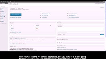 How to install WordPress through Plesk 11
