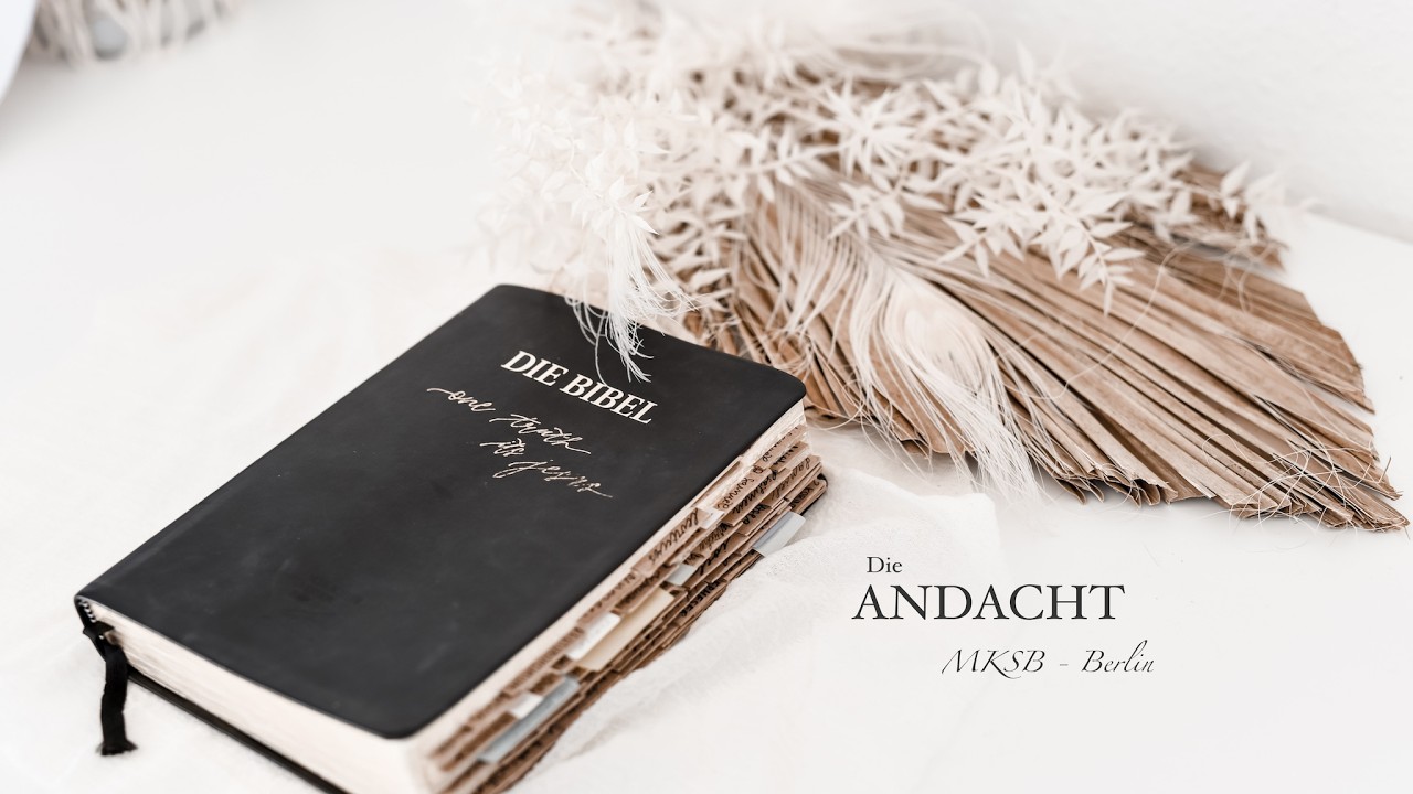 20260305 - Вечернее посвящение