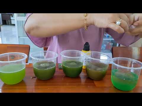 Sự khác biệt