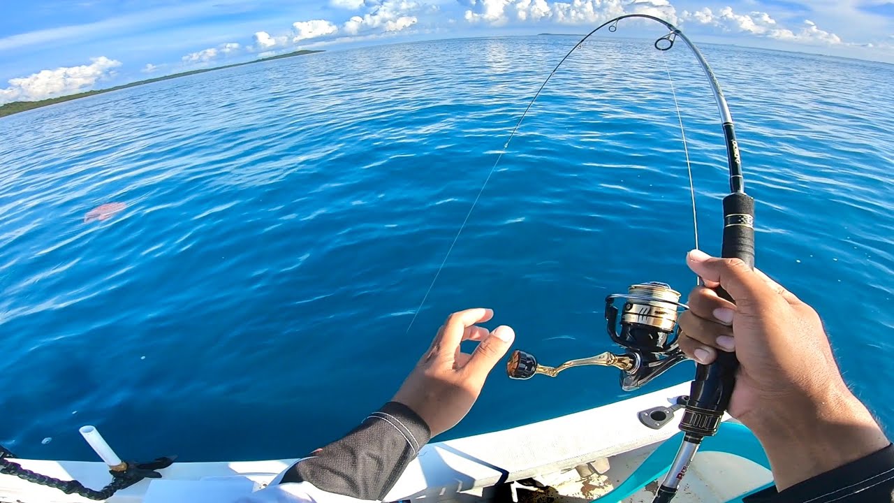 STRIKE SEPERTI INI YG DI IMPIKAN SEMUA PEMANCING , TENAGANYA KUAT SEKALI ...!!!