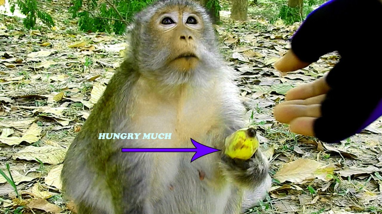 Hmm! Not Yet Giving New Birth, What Happening To Mommy Mona, So Much