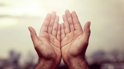 Mental Health Forum: The Power of Forgiveness in Public Health