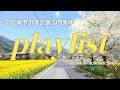 사랑이 조용히 깊어지는 순간 💛 | Romantic Lofi Cafe Music | Love & Calm Study Playlist