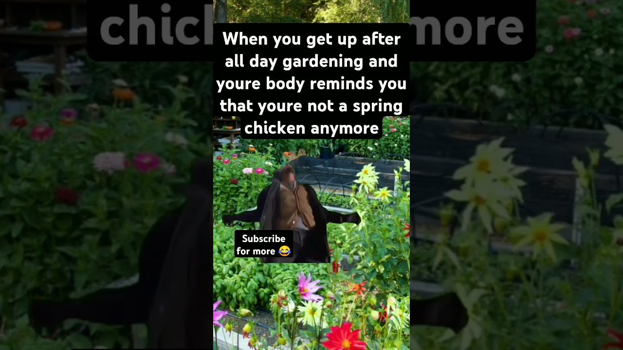 Chiropractor gardening 