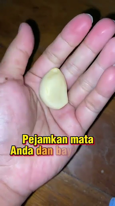 PELET JARAK JAUH