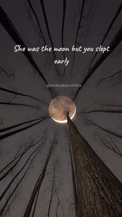 She Was The Moon But You Slept Early Status Video YouTube she-was-the-moon-but-you-slept-early-status-video-youtube
