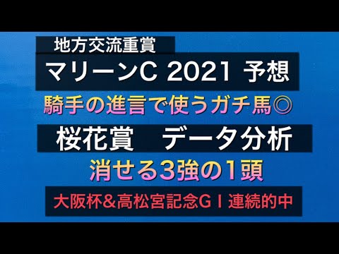 【競馬予想】 地方交流重賞 マリーンカップ 2021 予想 桜花賞 2021 データ分析