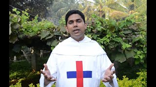 Redimere - Daily Reflections 32 - Mk 12/1-12 - Fr. Binoj Puthenpurackal O.SS.T.