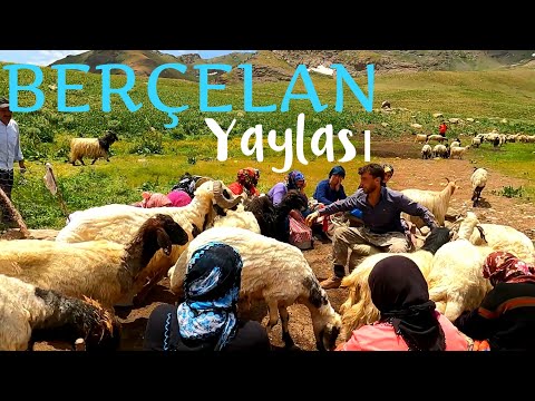 Hakkari - Berçelan