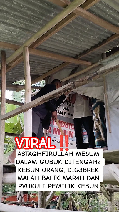 me5um dalam gubuk ditengah2 kebun warga #shorts #viral #youtubeshorts #funny