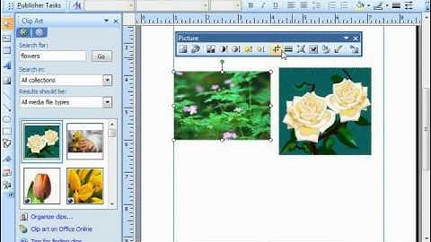 Publisher 2003 Tutorial Using the Picture Toolbar Microsoft Training Lesson 7.5