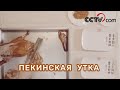 Пекинская утка