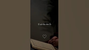 تلاوة خاشعة الشيخ محمد أحمدحسن #تلاوة_خاشعة #quran #explore #like #islam #fyp #foryou #tiktok #viral