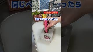 毎年バズる百均の肉球チョコレートマシュマロの作り方 #shorts #料理 #簡単レシピ #お菓子