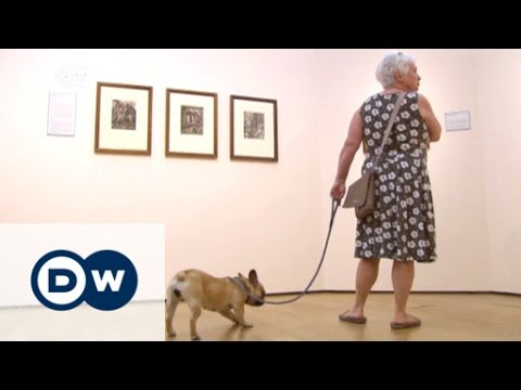 Video: Berlin-museet feirer hunder ved å åpne dører til hundemadre