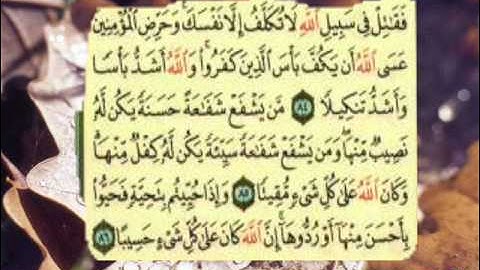 سورة النساء من الاية  80 الى الاية 91